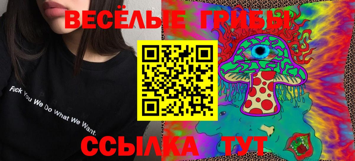 Галлюциногенные грибы Psilocybine cubensis Южно-Сахалинск