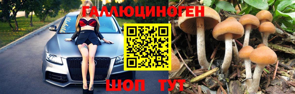 Южно-Сахалинск  Псилоцибиновые грибы Psilocybine cubensis  Вход с VPN 